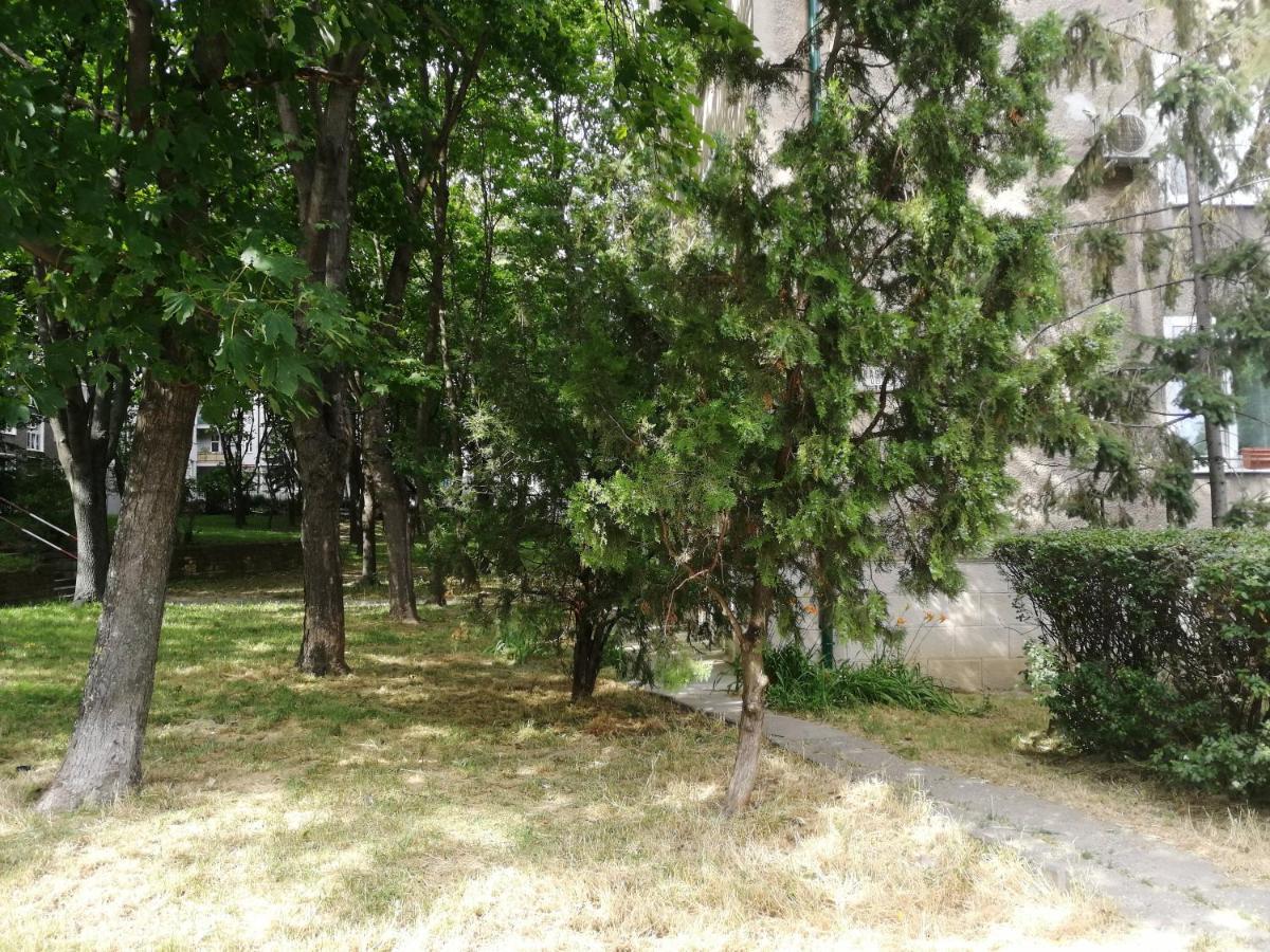 2Br Apt With Free Garage Parking, Close To The Historic Centre Pressburg Exterior foto